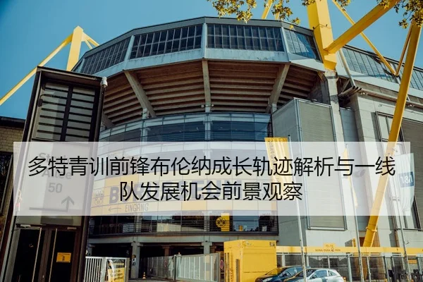 多特青训前锋布伦纳成长轨迹解析与一线队发展机会前景观察