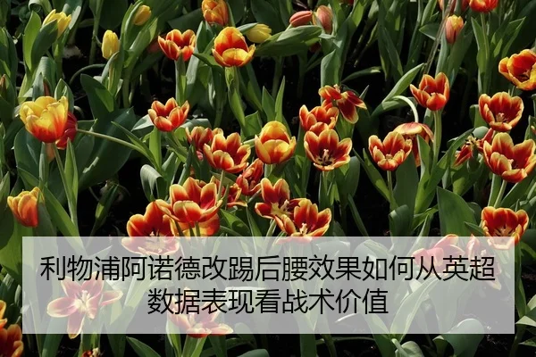 利物浦阿诺德改踢后腰效果如何从英超数据表现看战术价值