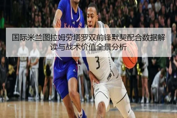 国际米兰图拉姆劳塔罗双前锋默契配合数据解读与战术价值全景分析